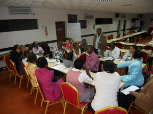Workshop participants discuss the findings and recommendations of the study 'Pre-requisites for Hazard Analysis and Critical Control Points in small-scale poultry production and processing in Maputo, Mozambique (Anabela C. dos Muchangos).
