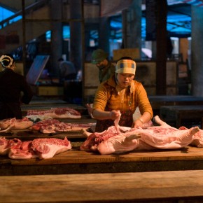 Making livestock foods safe—Lessons from Vietnam on what works—and what doesn’t