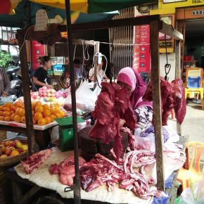 New project to strengthen food safety in Cambodia