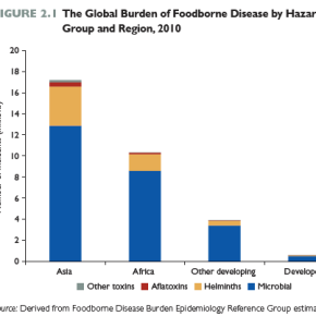Why foodborne disease is becoming a development priority—and is a solvable problem